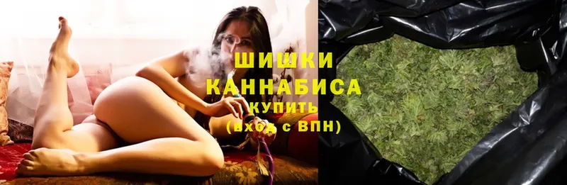 Бошки Шишки THC 21%  Анадырь 